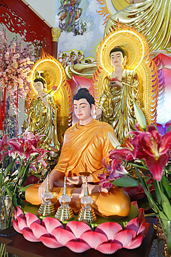 Main altar, Phu Son Tu Buddhist temple, Shakyamuni Buddha statue, Tan Chau, Vietnam, Indochina, Southeast Asia, Asia