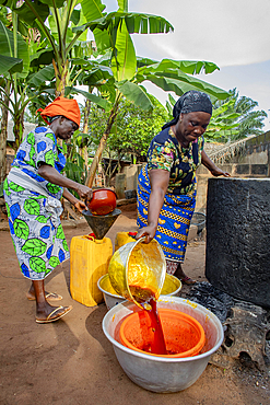 Villagers making palm oil in Dokoue, Benin