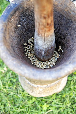 Pounding coffee beans in in N’giresi village, Tanzania