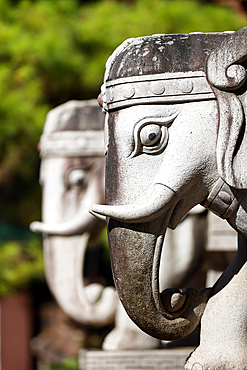 Minh Thanh buddhist temple. Stone sculpture of two elephants. Pleiku. France.