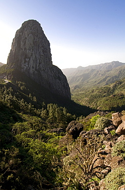 Valley, Garajonay National Park, UNESCO World Heritage Site, La Gomera Canary Islands, Spain, Europe