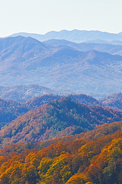 View over a valley with colourful foliage in the Indian summer, Great Smoky Mountains National Park, UNESCO World Heritage Site, Tennessee, United States of America, North America