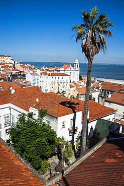 View from Portas do Sol over the old quarter of Alfama, Lisbon, Portugal, Europe