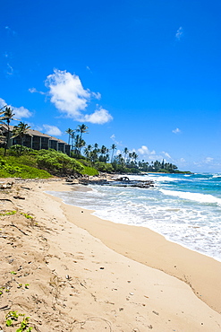 Sandy beach on Kapaa Beach Park on the island of Kauai, Hawaii, United States of America, Pacific