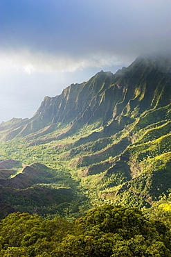 Kalalau lookout over the Napali coast from the Kokee State Park, Kauai, Hawaii, United States of America, Pacific