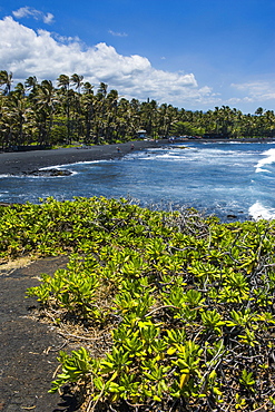 Punaluu Black Sand Beach on Big Island, Hawaii, United States of America, Pacific