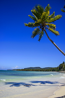 Playa Grande, Las Galeras, Semana peninsula, Dominican Republic, West Indies, Caribbean, Central America