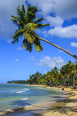 Casa Blanca Beach, Las Terrenas, Dominican Republic, West Indies, Caribbean, Central America