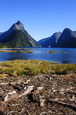 The steep cliffs of Milford Sound, Fiordland National Park, UNESCO World Heritage Site, South Island, New Zealand, Pacific