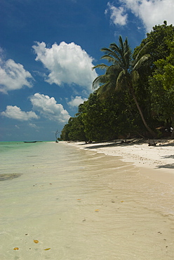 Silver sand beach with turquoise sea, Havelock Island, Andaman Islands, India, Indian Ocean, Asia