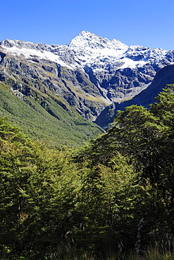 Otira Gorge road, Arthur's Pass, South Island, New Zealand, Pacific