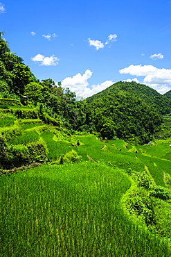 Bangaan in the rice terraces of Banaue, UNESCO World Heritage Site, Northern Luzon, Philippines, Southeast Asia, Asia