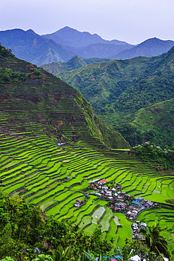 Batad rice terraces, part of the UNESCO World Heritage Site of Banaue, Luzon, Philippines, Southeast Asia, Asia