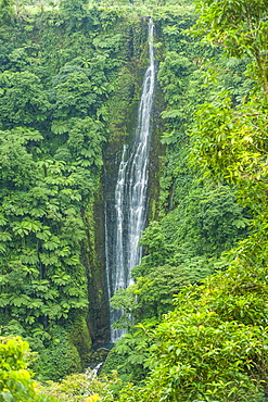 Papapapai-Tai Falls, Upolu, Samoa, South Pacific, Pacific