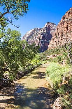 Virgin River flowing through the Zion National Park, Utah, United States of America, North America