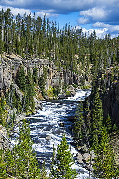 View over the Lewis River, Yellowstone National Park, UNESCO World Heritage Site, Wyoming, United States of America, North America