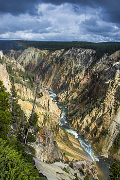 The colourful Grand Canyon of the Yellowstone, Yellowstone National Park, UNESCO World Heritage Site, Wyoming, United States of America, North America