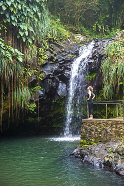 Woman looking at the Annandale Falls, Grenada, Windward Islands, West Indies, Caribbean, Central America