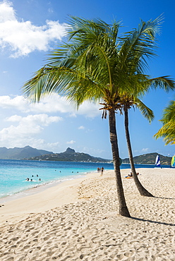 Palm Island, The Grenadines, St. Vincent and the Grenadines, Windward Islands, West Indies, Caribbean, Central America