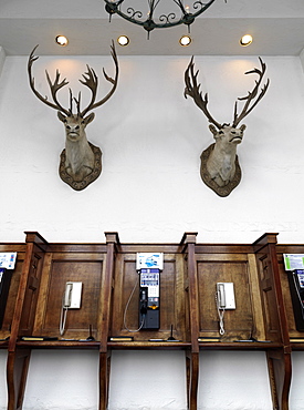 Phone booths with mounted elk heads on wall, Fairmont Chateau, Lake Louise, Banff National Park, Alberta, Canada, North America