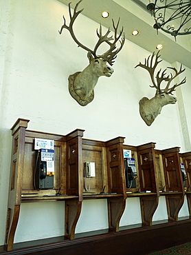 Phone booths with mounted elk heads on wall, Fairmont Chateau, Lake Louise, Banff National Park, Alberta, Canada, North America