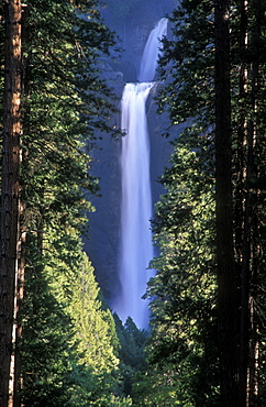 Lower Yosemite Falls, Yosemite National Park, UNESCO World Heritage Site, California, United States of America, North America