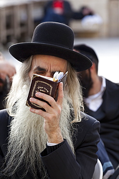 Orthodox male Jew praying at Western Wall, Jerusalem, Israel, Middle East