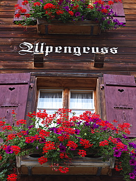 Potted geraniums in a window sill of a traditional Swiss chalet house, Wengen, Switzerland, Europe