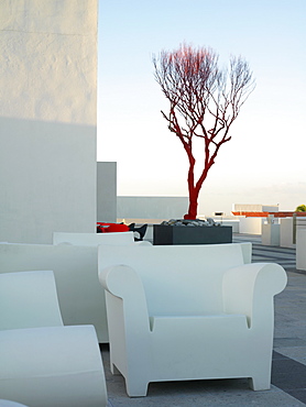 White chair and bare red tree against a pale blue sky on a patio cafe, Mayan Riviera, Akumal, Yucatan, Quintana Roo, Mexico, North America