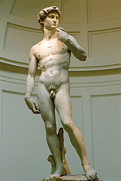 Statue of David by Michelangelo, Accademia, Florence, Tuscany, Italy, Europe