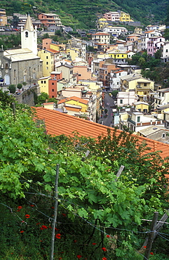 Fishing village of Riomaggiore with multicolored houses, Riomaggiore, Cinque Terre, UNESCO World Heritage Site, Liguria, Italy, Europe