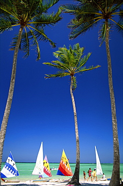 Palm trees, sailboats and Caribbean Sea, Bavaro Beach, Punta Cana, Dominican Republic, West Indies, Caribbean, Central America