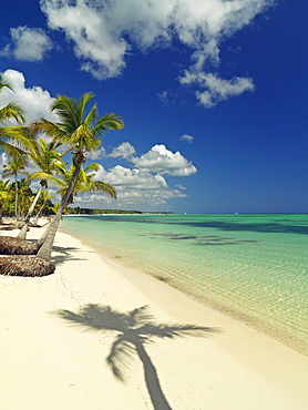 Shadow of palm tree on white sandy beach, Bavaro Beach, Punta Cana, Dominican Republic, West Indies, Caribbean, Central America