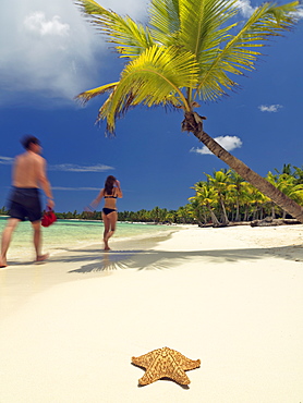 Couple walking past a starfish washed up on white sandy beach, Bavaro Beach, Punta Cana, Dominican Republic, West Indies, Caribbean, Central America