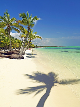 Shadow of palm tree on white sandy beach, Bavaro Beach, Punta Cana, Dominican Republic, West Indies, Caribbean, Central America