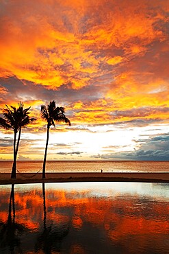 Palm trees silhouetted against red clouds reflect in an infinity pool during sunset over a beach at Flic en Flac, Mauritius, Indian Ocean, Africa