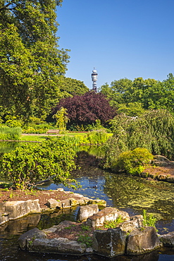 Regent's Park, BT Tower in distance, London, England, United Kingdom, Europe