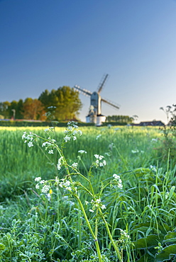 Saxtead Green Windmill, post mill design, Saxtead Green, Suffolk, England, United Kingdom, Europe