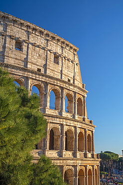 Coliseum, UNESCO World Heritage Site, Rome, Lazio, Italy, Europe