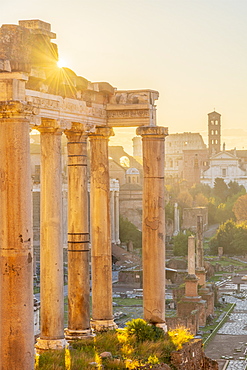 Forum at sunrise, UNESCO World Heritage Site, Rome, Lazio, Italy, Europe