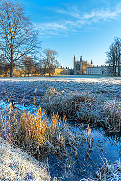 King's College Chapel, King's College, The Backs, University of Cambridge, Cambridge, Cambridgeshire, England, United Kingdom, Europe