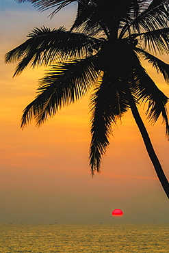 Leaning palm tree at sunset on lovely unspoilt Kizhunna Beach, south of Kannur on the state's North coast, Kannur, Kerala, India, Asia