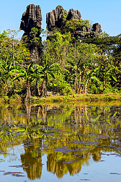 Eroded limestone rock towers reflected in fish pond at karst area, Rammang-Rammang, Maros, South Sulawesi, Indonesia, Southeast Asia, Asia