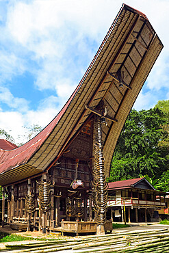 Traditional saddleback roof Tongkonan house at family compound near Rantepao, La'bo, Rantepao, Toraja, South Sulawesi, Indonesia, Southeast Asia, Asia