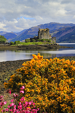 Spring flowers and the 13th century Eilean Donan Castle on a tidal island by the Kyle of Loch Alsh, Eilean Donan, Dornie, Kyle of Loch Alsh, West Highlands, Scotland, United Kingdom, Europe