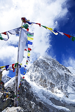 Summit of Kala Patthar looking to Pumo Ri, Sagarmatha National Park, UNESCO World Heritage Site, Solukhumbu District, Nepal, Himalayas, Asia