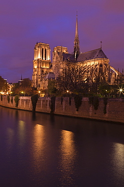 Notre Dame Cathedral floodlit at night with River Seine, Paris, France, Europe