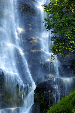 Pistyll Rhaeadr waterfall near Llanrhaeadr-ym-Mochnant, early morning light in June, Powys, Wales, United Kingdom, Europe