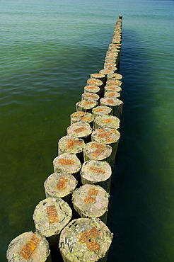 Groyne at the beach of Baltic Sea at Darss Germany