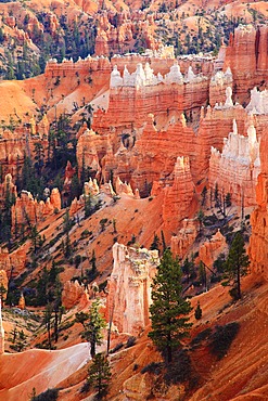 View into the Bryce Canyon, Utah, USA, North America